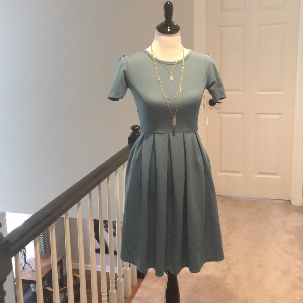 NWT LuLaRoe Amelia!